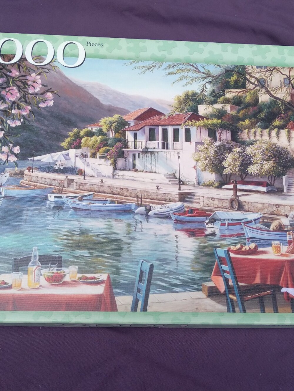Scenic Harbor 1000-Piece Jigsaw Puzzle - Multicolor
